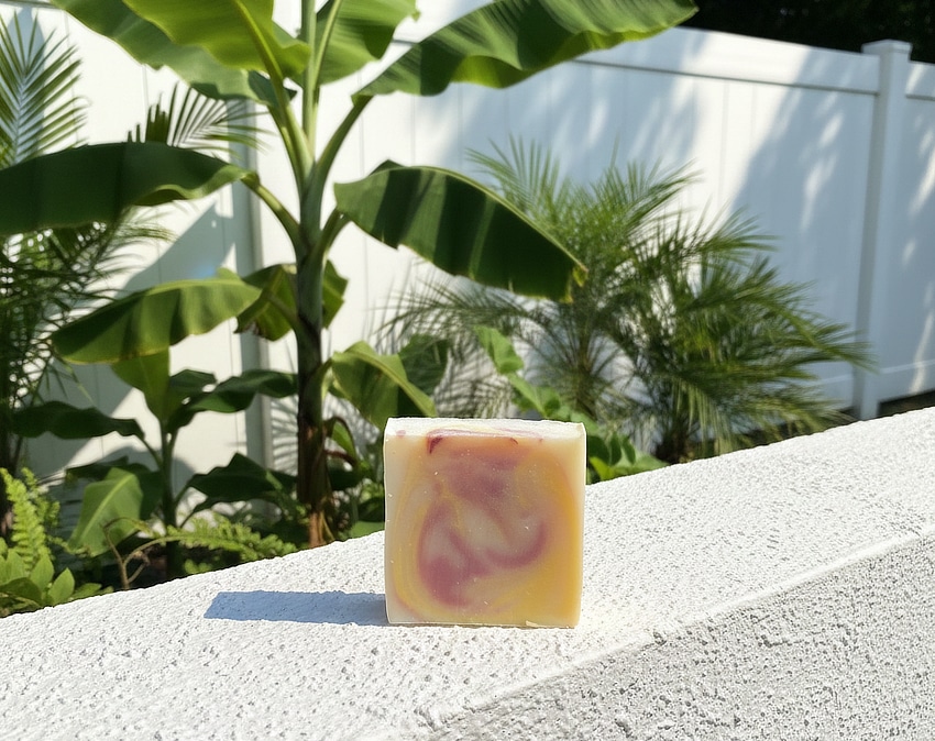 Holiday Bundle - 6 Stunning Skincare Products for Travel 4 pink pepper soap