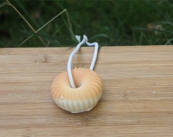 soap on a rope