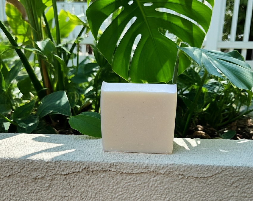 coconut milk soap
